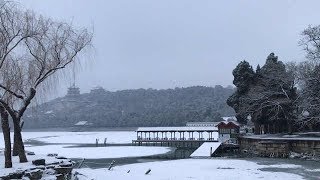 北京鼠年首场雪，但降雪杀不死病毒