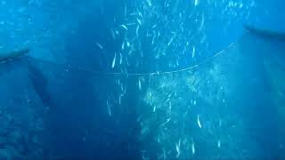 Part 5 SAPYAW DOCUMENTARY FISHING | Best Fishing in Palawan- scoping fish//#documentary fishing