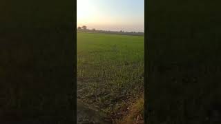 Gujarat : 0.7 Acre Of Agricultural Land For Sale Located At Sherkotda,  Ahmedabad District