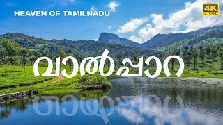 VALPARAI | A RIDE THROUGH ATHIRAPPILLY FOREST | വാൽപ്പാറ എന്ന സ്വർഗ്ഗത്തിലേക്ക് | 4K