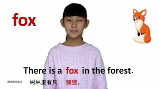 动物篇fox狐狸 牛津初高中小学少儿童英语单词和例句子 常荣