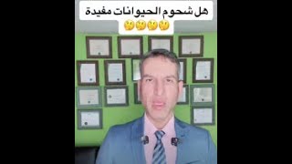 فوائد شحوم الحيوانات ( الخرافية )هل هذا صحيح ؟ وما هو البديل - لاتستمع لليوتيوبرز  فيكون الثمن حياتك