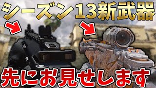 シーズン13の新武器発表！どんな武器なのかを先行公開します＜CoDモバイル＞[Tanaka90]