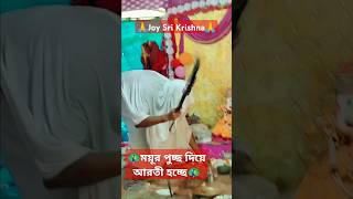 ময়ূর পুচ্ছ দিয়ে ঠাকুরের আরতী হচ্ছে🙏🦚👏#youtube#shorts#krishna#aarti#krishna bhajan#iskcon#বৃন্দাবন