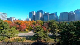 TOKYO Imperial Palace Walk - Japan 4K HDR