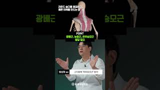 라운드 숄더를 해결하고 예쁜 어깨를 만드는 법💚