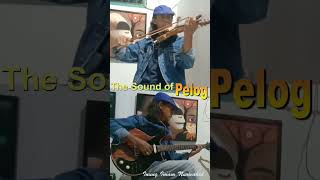 The Sound of Pelog