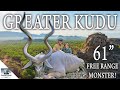 HUGE 61'' Kudu Free Range!