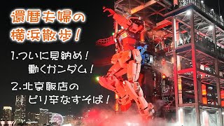 還暦夫婦の横浜散歩！✨️ついに見納め！ガンダムファクトリー横浜！ | 絶品！北京飯店のピリ辛なすそば！🍜 | 山下公園 | 横浜マリンタワー | 山下ふ頭 | 横浜中華街