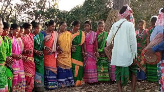 Baha Anech || New Santali Video 2022