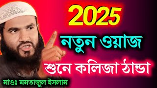 ২০২৫ সালের মমতাজুল এর নতুন ওয়াজ | Momtajul Islam Waz | Diner Alo Bangla | নতুন বছরের ওয়াজ