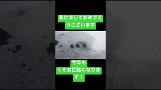 【謹賀新年】皆さんに感謝です #shorts