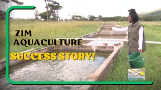 Sustainable Fish Farming in Zimbabwe: Start Today! 🌿 (How-To Guide)