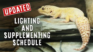 Leopard Gecko Lighting \u0026 Supplements | WHAT I DO \u0026 USE | UPDATED