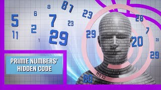 What Experts Hide About Prime Number Patterns