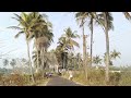 coconut tree 🌴 road goa