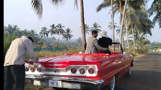 coconut tree 🌴 road  Goa