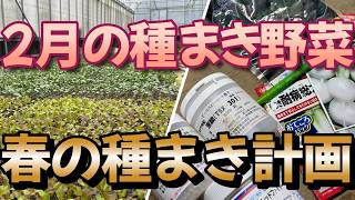 2月の種まき　3.4.5月の種まき予定図と共に紹介します。