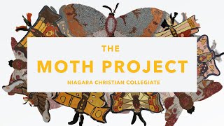 NCC Arts: The Moth Project