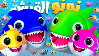 بيبي شارك دودو دودو عربي - اغنية طفل القرش #babyshark  دق دق الباب الثعلب والذئب - أغنية يا غنماتي