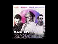 Alok x Sigala x Ellie Goulding - All By Myself (DJ Loyce Edit)