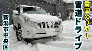 【LIVE】新潟市 雪道ドライブ配信 これが雪国のリアルな暮らしです