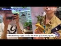 vietsub vlog rikimaru ghÉ thĂm cỬa hÀng