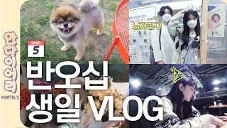 남자친구, 반려견과 함께 하는 반오십 생일 vlog