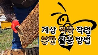 (20년 3월 23일) 계상 격왕작업 그리고 봉판 활용 방법!!