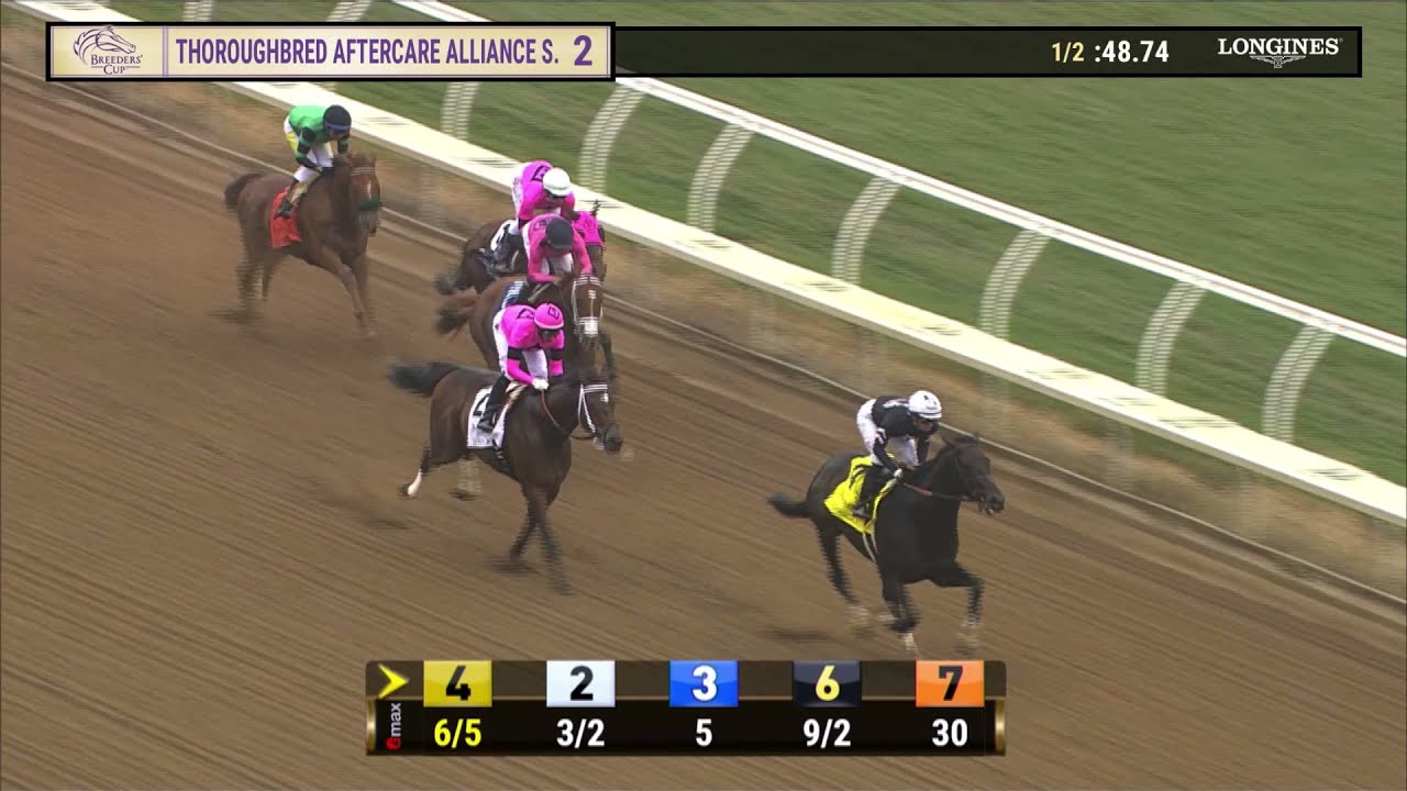 Lone Rock Wins The Thoroughbred Aftercare Alliance Stakes (Gr.II) Race ...