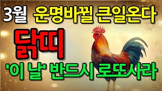 📢 '닭띠' 주목! 2025년 3월 닭띠 운명이 바뀔 큰일이 찾아옵니다ㅣ이 '날짜' 절대 놓치지 마세요!ㅣ57년 69년 81년 93년 닭띠 운세