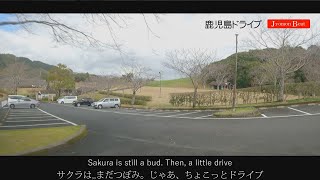 錦江湾公園から平川小学校回って、ぐるっと一周　３月初旬。鹿児島ドライブ 　じょうもんびと GoPro HERO9　登録者2021/03/3現在88人