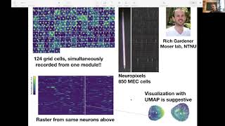 Benjamin Dunn - Toroidal topology of grid cell ensemble activity