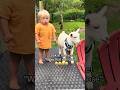 👶🏼 Kids and Baby Goat 🐐 Lovely Moments 😍 Pets Fever #kids #pets #goat