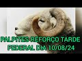 PALPITES DE REFORÇO TARDE E FEDERAL DIA 10/08/24 (SORTE ATODOS) @PALPITESDOMARCAOJB