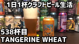 【1日1杯クラフトビール生活】538杯目Lost Coast Brewery TANGERINE WHEAT