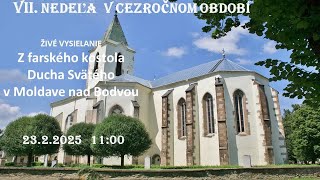 VII. nedeľa  v cezročnom období