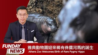 FUNDAY News 英語新聞 2024.03.22 | Athens Zoo Welcomes Birth of Rare Pygmy Hippo 雅典動物園迎來稀有侏儒河馬的誕生