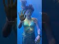 magical mermaid show at tambaram exhibition 🧜‍♀️✨ mermaidshow tambaramexpo trendingshorts