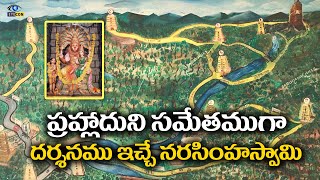 ప్రహ్లాదుని సమేతముగా దర్శనము ఇచ్చే నరసింహస్వామి | Kadiri Lakshmi Narasimha Swamy Temple