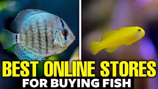 Here's The Best Place To Buy Fish Online