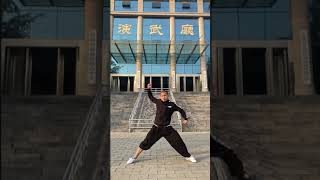 #Shorts Shaolin Kung Fu #Shorts#monk#bruce lee#jackie chan#yipman#mma#ufc#gym#workout#Muay Thai#wwe