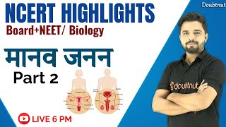 मानव जनन तंत्र | Ncert highlights | Board + NEET | Chapter 3 | Part 02 | Biology | By Yogesh Sir