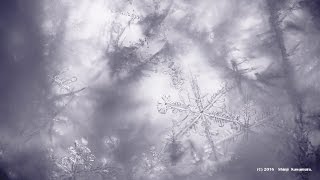 雪の結晶　Crystal of snow.　4K・UHD