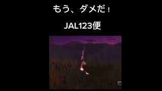 パイロットの最後の言葉#1#航空事故 #jal123 #ユナイデット航空173便