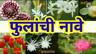 फुलांची नावे  | Flowers name in marathi | fulanchi nave in marathi