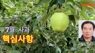 [사과재배] 7월 모든병 다 번진다. 제500회