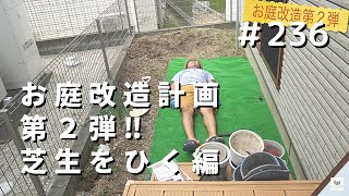 お庭改造計画第２弾❗️芝生をひくぞ【園芸】@Kahmen-Gardening