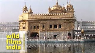 Devotees sit on Sarovar side at Golden Temple - Amritsar, Punjab