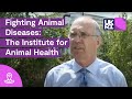 Fighting #AnimalDiseases: Institute for Animal Health's Amazing Work! (now The Pirbright Institute)